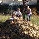 Yard Work, YUCK: Gratitude = Non-Attachment